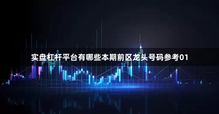 实盘杠杆平台有哪些本期前区龙头号码参考01